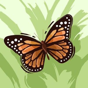 Meet your Posher, Natalia